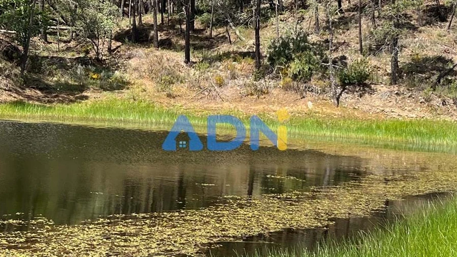 Terreno para Venda em Freixial e Juncal do Campo