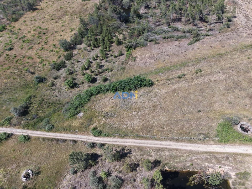 Terreno para Venda em Freixial e Juncal do Campo Foto 7