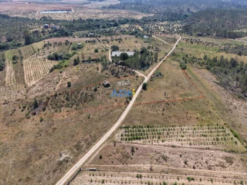 Terreno para Venda em Freixial e Juncal do Campo