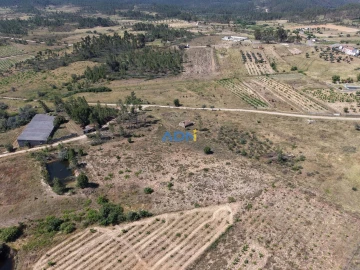 Terreno para Venda em Freixial e Juncal do Campo