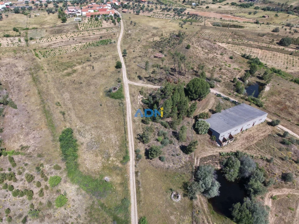 Terreno para Venda em Freixial e Juncal do Campo Foto 8