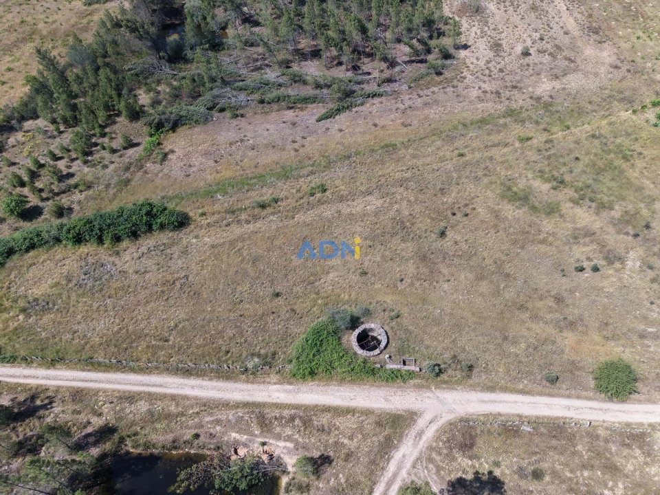 Terreno para Venda em Freixial e Juncal do Campo Foto 6