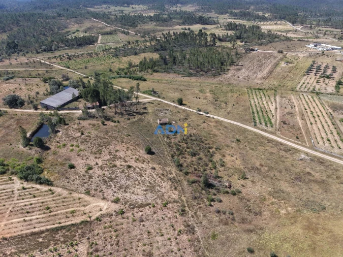 Terreno para Venda em Freixial e Juncal do Campo Foto 15