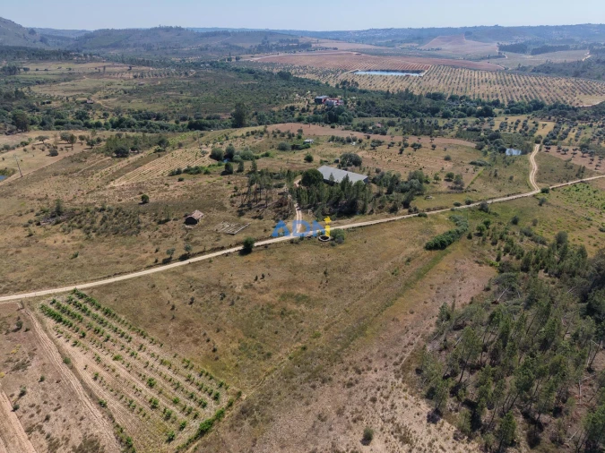 Terreno para Venda em Freixial e Juncal do Campo Foto 12