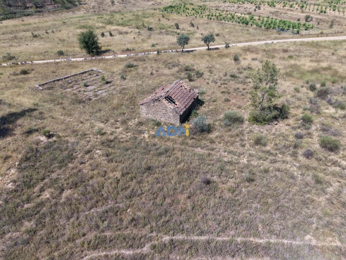Terreno para Venda em Freixial e Juncal do Campo Foto 19