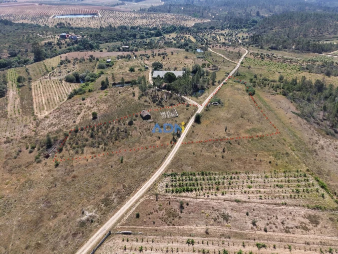 Terreno para Venda em Freixial e Juncal do Campo Foto 3