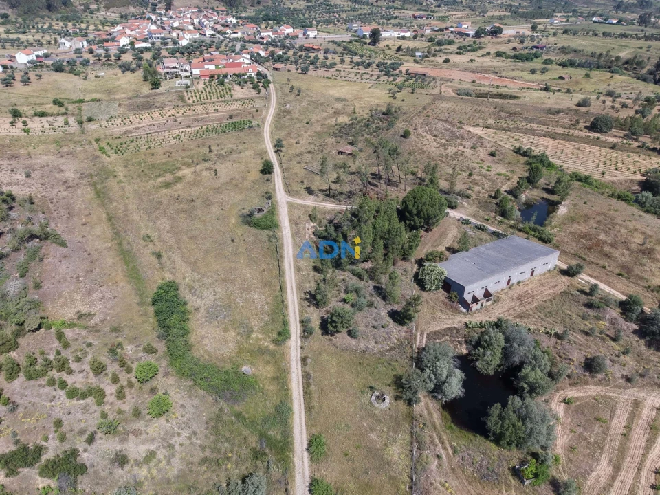 Terreno para Venda em Freixial e Juncal do Campo Foto 9