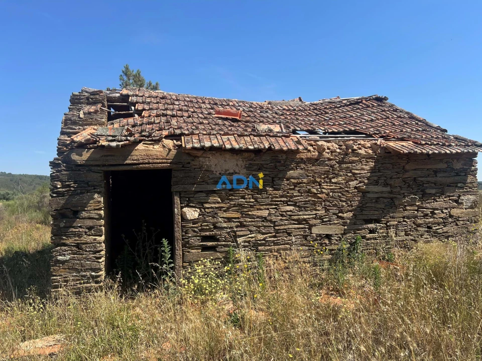 Terreno para Venda em Freixial e Juncal do Campo Foto 23