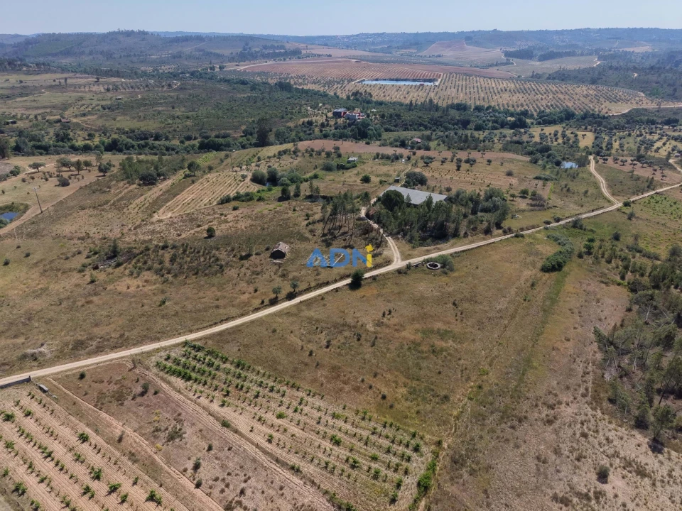 Terreno para Venda em Freixial e Juncal do Campo Foto 13
