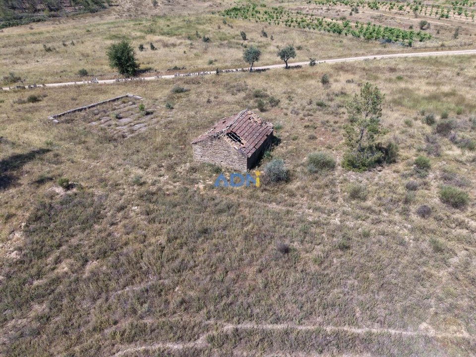 Terreno para Venda em Freixial e Juncal do Campo Foto 19