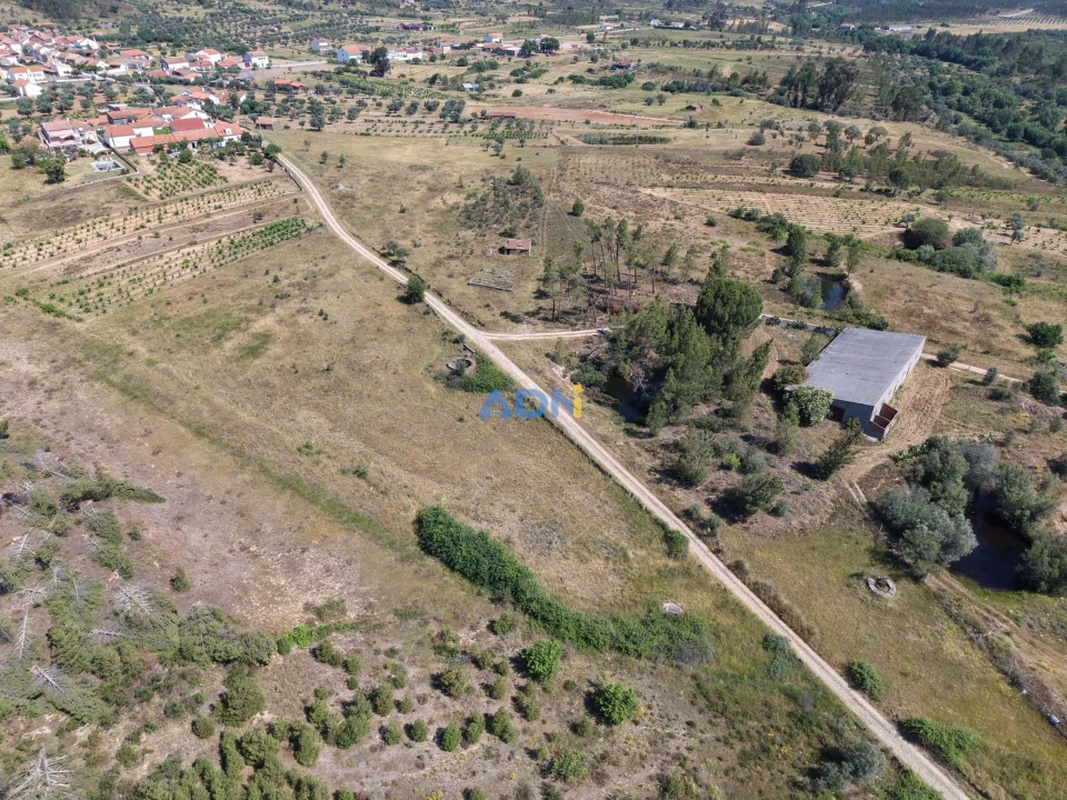 Terreno para Venda em Freixial e Juncal do Campo Foto 10