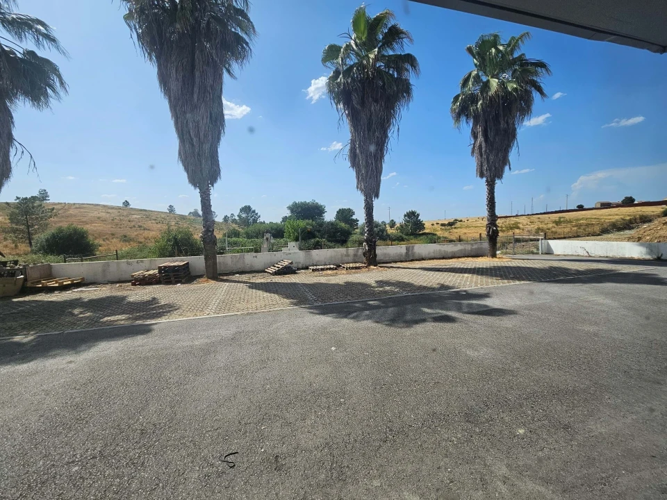 Negócio para Venda em Castelo Branco Foto 5