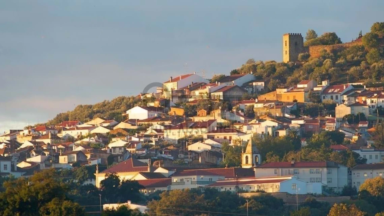 Negócio para Venda em Castelo Branco Foto 22