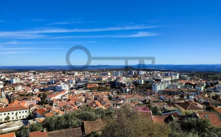 Negócio para Venda em Castelo Branco