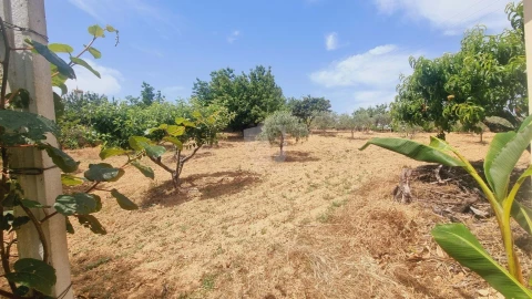 Moradia T4 para Venda em Sobreira Formosa e Alvito da Beira