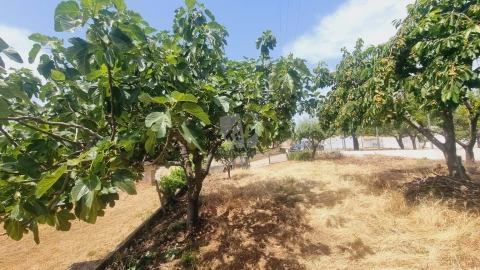 Moradia T4 para Venda em Sobreira Formosa e Alvito da Beira
