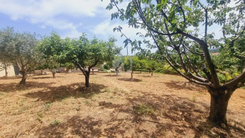 Moradia T4 para Venda em Sobreira Formosa e Alvito da Beira