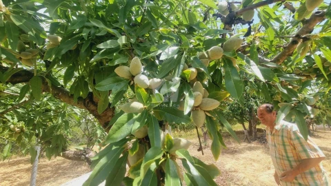 Moradia T4 para Venda em Sobreira Formosa e Alvito da Beira