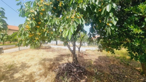 Moradia T4 para Venda em Sobreira Formosa e Alvito da Beira