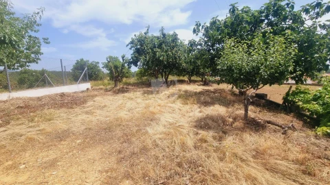 Moradia T4 para Venda em Sobreira Formosa e Alvito da Beira