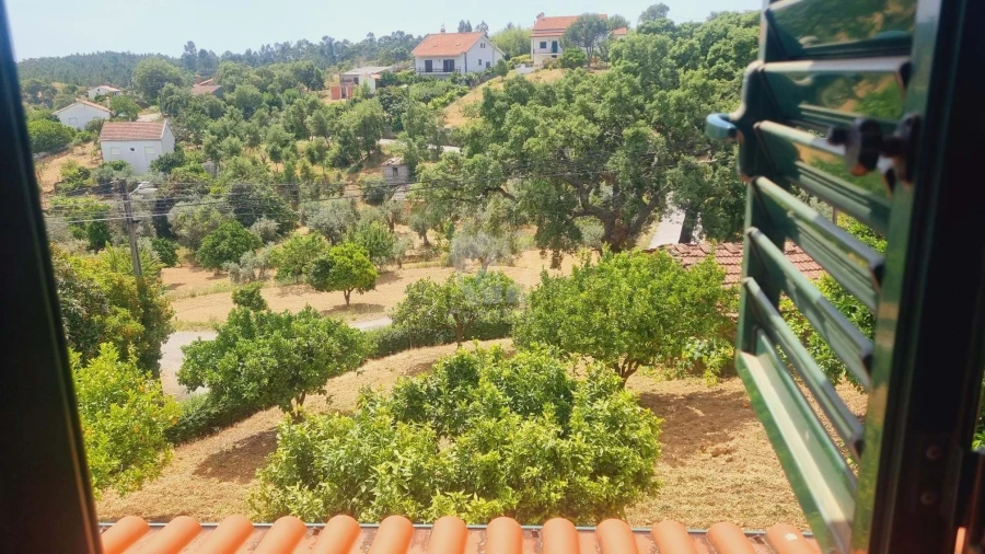 Moradia T4 para Venda em Sobreira Formosa e Alvito da Beira Foto 48
