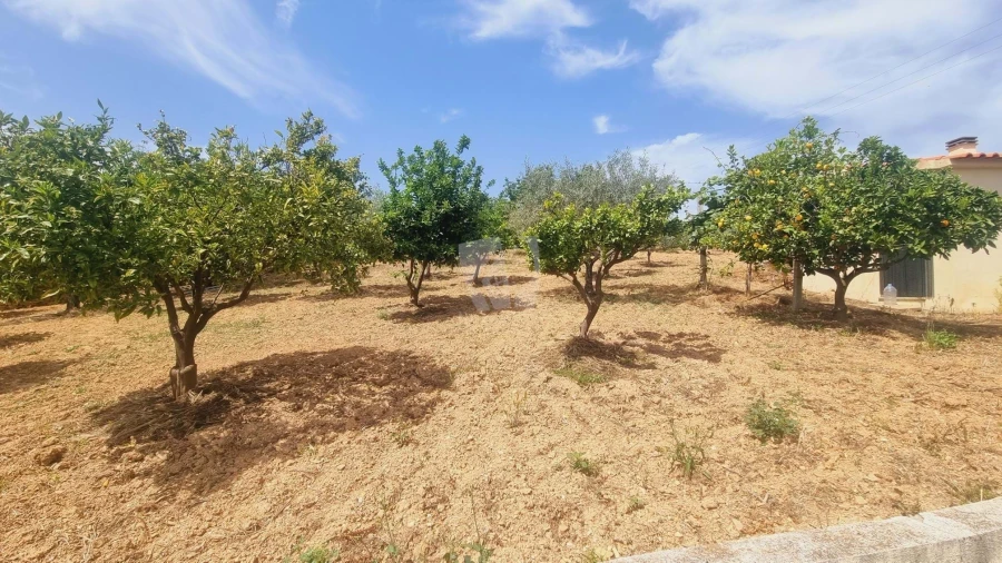 Moradia T4 para Venda em Sobreira Formosa e Alvito da Beira Foto 56