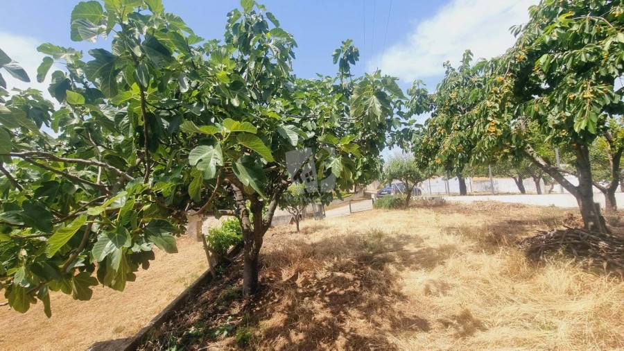 Moradia T4 para Venda em Sobreira Formosa e Alvito da Beira Foto 75