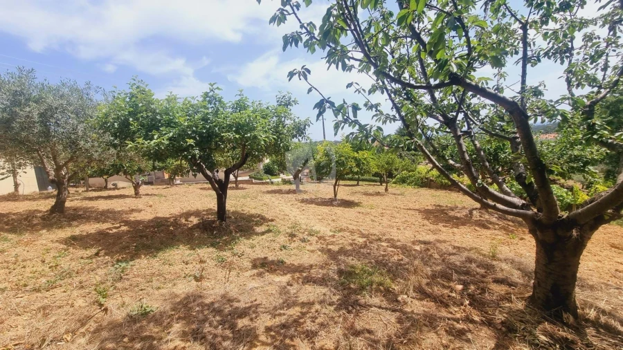 Moradia T4 para Venda em Sobreira Formosa e Alvito da Beira Foto 64