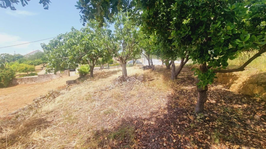 Moradia T4 para Venda em Sobreira Formosa e Alvito da Beira Foto 74
