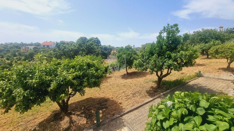 Moradia T4 para Venda em Sobreira Formosa e Alvito da Beira Foto 47