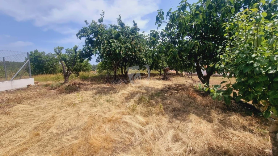 Moradia T4 para Venda em Sobreira Formosa e Alvito da Beira Foto 76