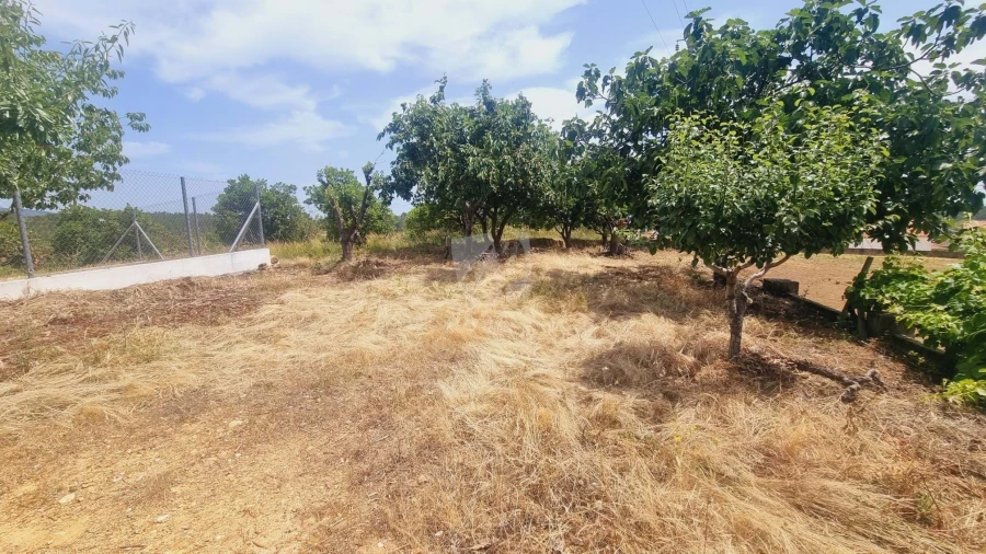 Moradia T4 para Venda em Sobreira Formosa e Alvito da Beira Foto 70