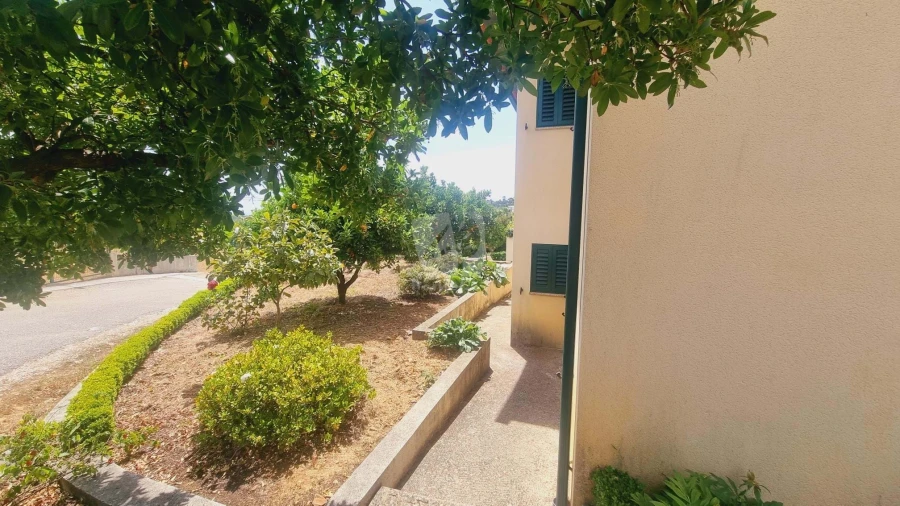 Moradia T4 para Venda em Sobreira Formosa e Alvito da Beira Foto 57