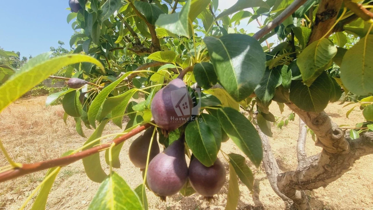 Moradia T4 para Venda em Sobreira Formosa e Alvito da Beira Foto 67