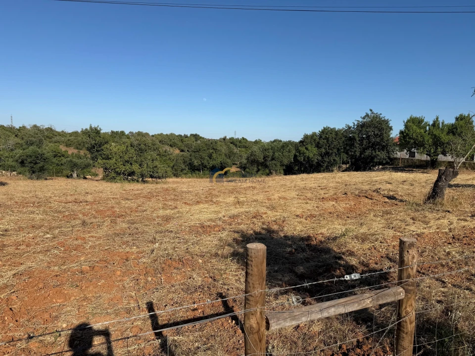 Terreno Agricola ou Rústico para Venda em Ferreiras Foto 16