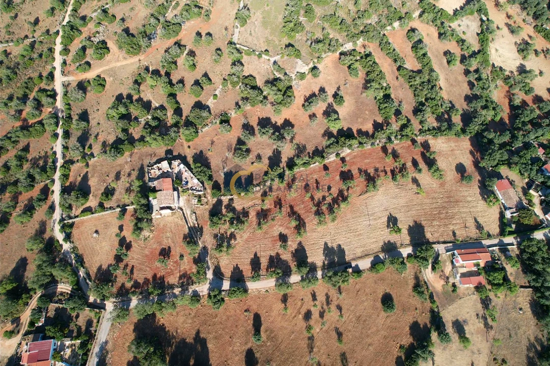 Terreno Agricola ou Rústico para Venda em Ferreiras Foto 9