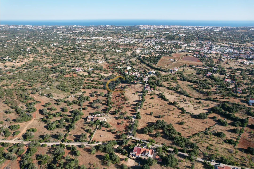 Terreno Agricola ou Rústico para Venda em Ferreiras Foto 12