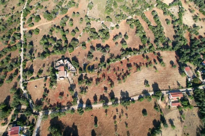 Terreno Agricola ou Rústico para Venda em Ferreiras