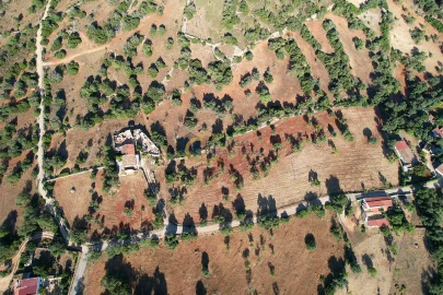 Terreno Agricola ou Rústico para Venda em Ferreiras