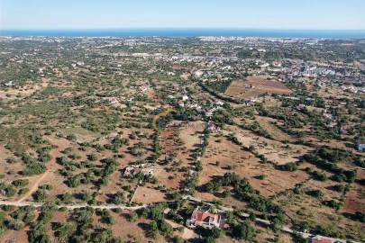 Terreno Agricola ou Rústico para Venda em Ferreiras