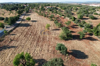 Terreno Agricola ou Rústico para Venda em Ferreiras