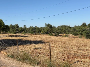 Terreno Agricola ou Rústico para Venda em Ferreiras