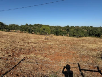 Terreno Agricola ou Rústico para Venda em Ferreiras