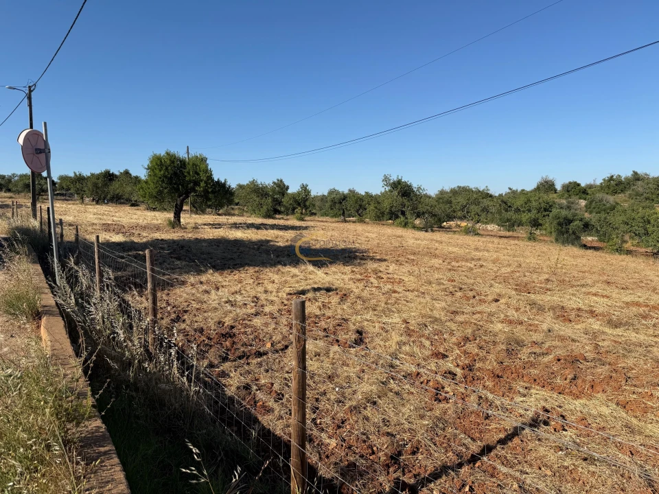 Terreno Agricola ou Rústico para Venda em Ferreiras Foto 3
