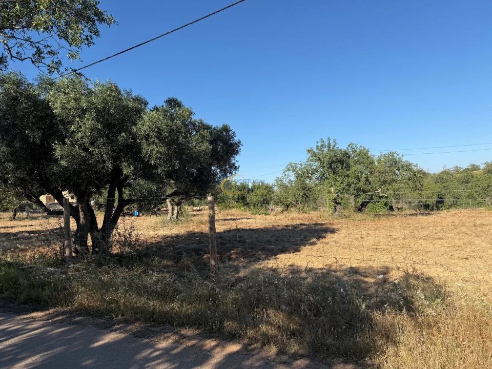 Terreno Agricola ou Rústico para Venda em Ferreiras Foto 1
