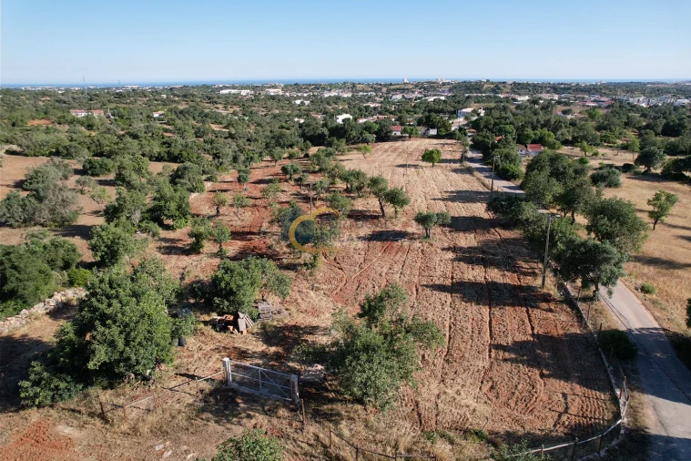 Terreno Agricola ou Rústico para Venda em Ferreiras Foto 10