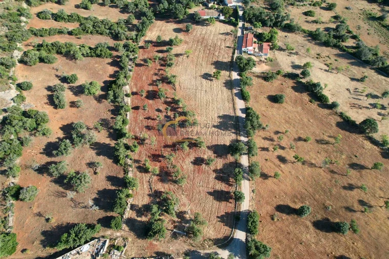 Terreno Agricola ou Rústico para Venda em Ferreiras Foto 6