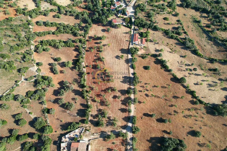 Terreno Agricola ou Rústico para Venda em Ferreiras Foto 7