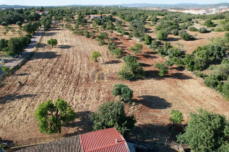 Terreno Agricola ou Rústico para Venda em Ferreiras Foto 13