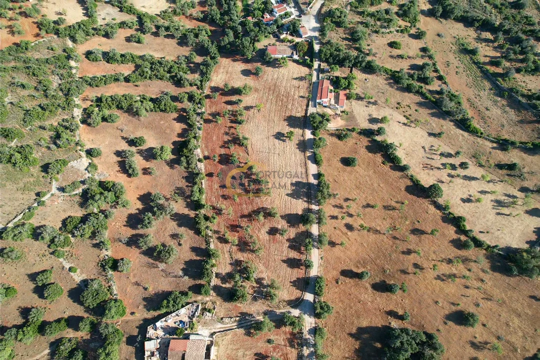 Terreno Agricola ou Rústico para Venda em Ferreiras Foto 7